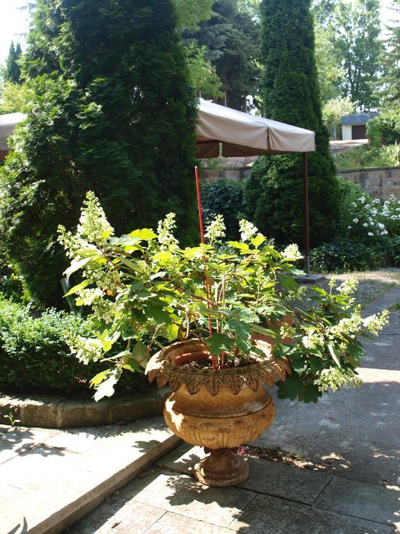 Pension Zur Koeniglichen Ausspanne Dresden Exteriör bild